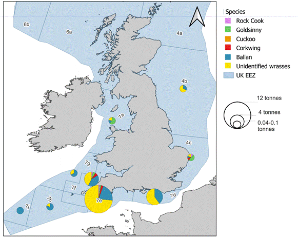 Total aggregated estimations of wrasse landings (tonnes) within UK Exclusive Economic Zone (EEZ) between 2012 and 2022, averaged per ICES area (source: MMO, 2024).