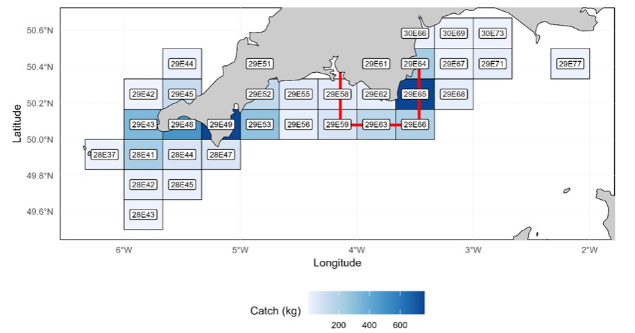 Octopus landings in 2024 based on data collected through the Record Your Catch App for under 10m vessels.