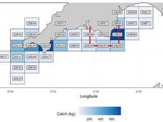 Octopus landings in 2024 based on data collected through the Record Your Catch App for under 10m vessels.