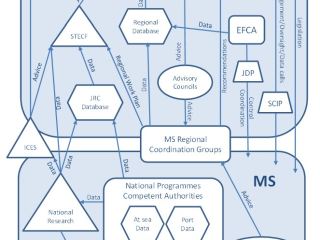 EU fisheries management data flows